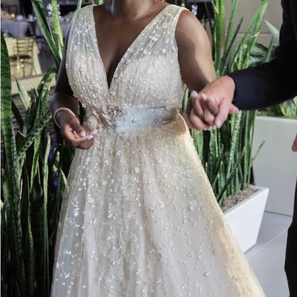 David’s Bridal A-Line champagne wedding dress - Picture 2 of 4